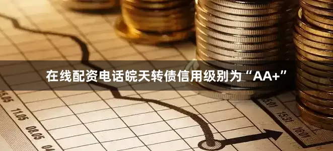 在线配资电话皖天转债信用级别为“AA+”